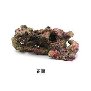 bhV[@}󃉃CubNvJ@CubNW[D