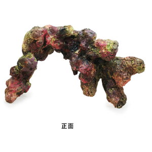 bhV[@}󃉃CubNvJ@CubNW[F