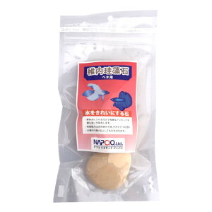 t]΁@x^p@ivR~ebh@(60)