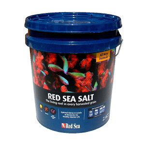 【お取り寄せ品】レッドシー レッドシーソルト 22kg バケツタイプ 他商品同梱不可 沖縄は遠方料金3000円 (160)