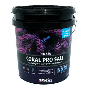 yʁzbhV[@R[v\g@7kg@oPc^Cv@(100)