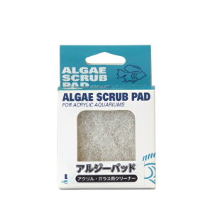 y^zOKzAW[pbh KXEANp@STCY