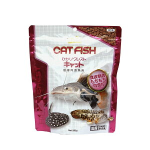 y2܂ŏ^zOKzL[@ЂNXg Lbg 295g