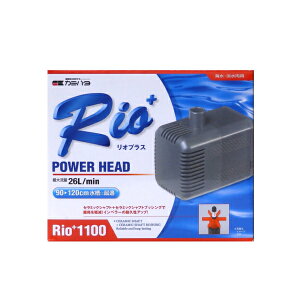 �J�~�n�^�@���I�v���X Rio+1100�i60Hz�j�����{�p