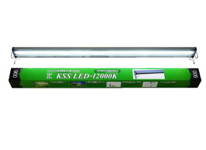 yʁzKSS LED-12000K 900@(120)