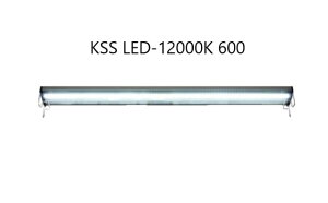 yʁzKSS LED-12000K 600@(80)