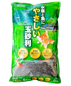 J~n^ Ƌɂ₳ʍ 6kg@(80)