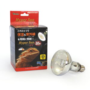 roA@nCp[T UV80W@(80)