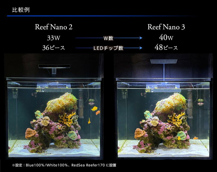 楽天市場】ZOOX 海水 珊瑚 LED ReefNano3 リーフナノ3 : アクアクラフト