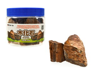 y񂹕izJ~n^ v`ANA̐ ؉΁@iڂj