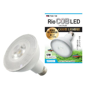 J~n^@RioCOB LED N[zCg@12WiWpj
