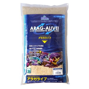 J~n^ JuV[ AKCu SPO[h[tTh 9kg (100)