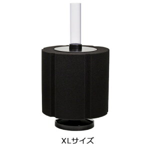 J~n^@I@oNgT[W@X|WtB^[ XL