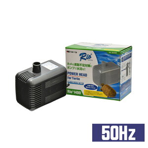 J~n^@IvX^[g@Rio+^[g 1400@{py50Hzz