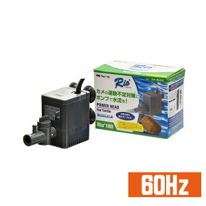 カミハタ リオプラスタートル Rio+タートル 180 西日本用【60Hz】