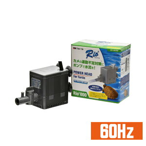 J~n^@IvX^[g@Rio+^[g 800@{py60Hzz