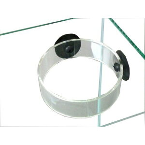 y^zOKzIWi GTUh~O 80 LXS GTO Ehߑah~O