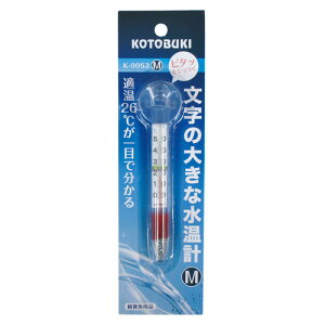 RguL K-0053 ̑傫ȐvM