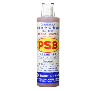 V}ebN PSBvXEvX 500ml