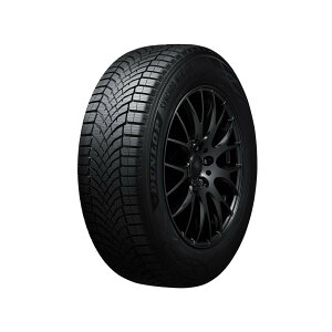 SYNCHRO WEATHER 235/50R19 103V XL