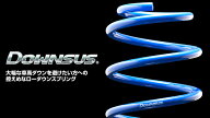 1台分 エスペリア DOWNSUS レクサス GS300h AWL10 H27/11〜