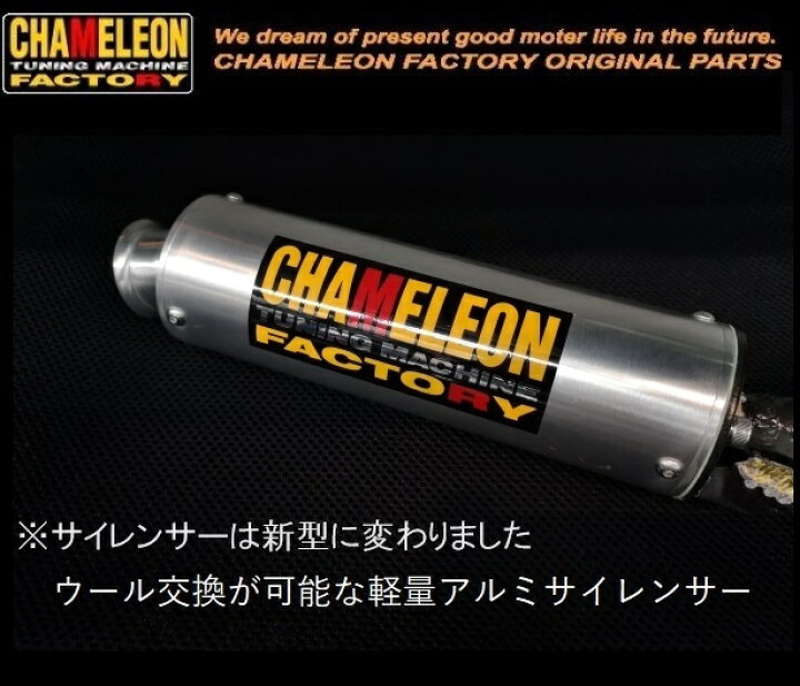 楽天市場】カメレオンファクトリー製 スリップオンサイレンサー TDR50 