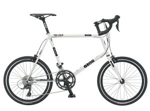 GIOS FELUCA (zCg) 2025 WIX tF[J ~jx a]