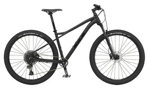 }EeoCN GT AVALANCHE EXPERT 29 V2 (ubN) 2025 W[eB[ Ao`FGLXp[g 29 V2
