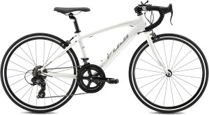 FUJI ACE 24 (zCg) 2026 tW G[X 24 [hoCN qp] White