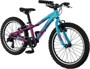 qp] GT STOMPER HT 20 ACE (Yx[) W[eB[ Xgp[ GC`eB 20 G[X }EeoCN