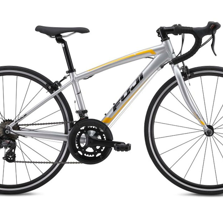 楽天市場】FUJI フジ エース 650 (シルバー) 2025 FUJI ACE 650 ロード  