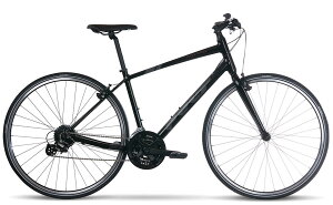 FELT tFg Verza Speed 50 (tNeBuubN) 2025 tFg xUXs[h 50 NXoCN