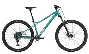 }EeoCN GT ZASKAR LT AL COMP 29 (WFCh) 2025 W[eB[ UXJ[ GeB[ AC Rv 29