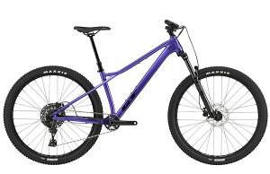 }EeoCN GT ZASKAR LT AL COMP 29 (p[v) 2025 W[eB[ UXJ[ GeB[ AC Rv 29