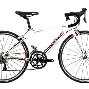 KhodaaBloom STRAUSS 24 ([VOzCg) 2026 KB-21-004 R[_u[ XgEX 24 qp[hoCN