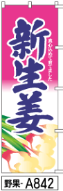 ふでのぼり 新生姜(野果-a842)幟 ノボリ 旗 筆書体を使用した一味違ったのぼり旗がお買得【送料込み】まとめ買いで格安【RCP】02P09Jul16