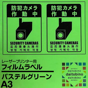 tB x daitobino [U[v^[p pXeO[ Pastel Green V[g^CvFA4TCY 50 BINOLNA4PGY V[g^CvFA3TCY BINOLNA3PGY