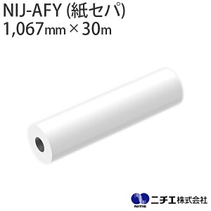 CNΉ CNWFbgfBA NIJ-AFY (Zp) }bg O[ 150 i1,067mm × 30mj j`G NITIE
