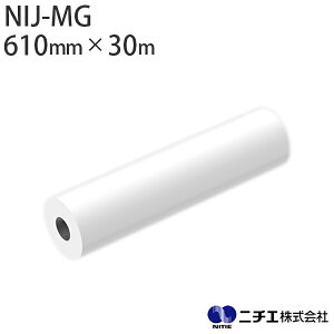 CNΉ CNWFbgfBA NIJ-MG tHg RC^Cv 210 i610mm × 30mj j`G NITIE