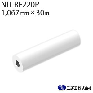 CNΉ CNWFbgfBA NIJ-RF220P F hTCNNX hF萻i 280 i1,067mm × 30mj j`G NITIE