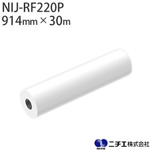 CNΉ CNWFbgfBA NIJ-RF220P F hTCNNX hF萻i 280 i914mm × 30mj j`G NITIE