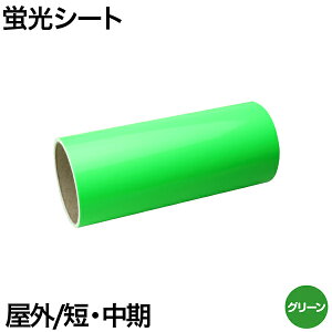 uV[g 20cm×2m Op ZE  oCN Ŕ  XebJ[ V[ XeJ