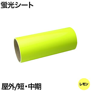 uV[g 30cm×2m Op ZE  oCN Ŕ  XebJ[ V[ JI XeJ