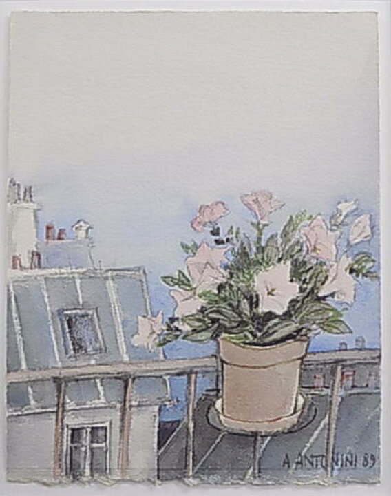 楽天市場】【楽天SS会場】11,000円女性版画家のシックな大サイズ花の 