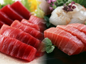 IBYY ߊCVR{ C 100g2_ZbgiԐgEgjyyMt_̂zyyMt_̂z