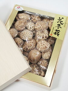 Iő Ԃǂ񂱁i͂Ȃǂ񂱁j a8cmO 430g ˔ n130]N̒ő≮ ō啪Y ؍͔| yyMt_̂zyyMt_̂z