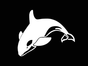 XebJ[ IJ V` S6F zCg ubN IW u[ CG[ bh  E JbeBOXebJ[  oCN fJ[ V[ ] T[t nC HAWAII T[tB