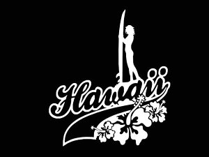 XebJ[ ZNV[T[tK[ HAWAII LOGO nCrXJX S6F zCg ubN IW u[ CG[ bh JbeBOXebJ[  oCN fJ[ V[ ] nC S T