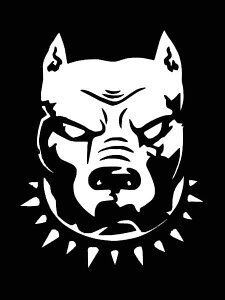 XebJ[ sbgu S2F zCg ubN JbeBOXebJ[  oCN fJ[ V[ ] Pitbull  AJu[  킢 AJ G