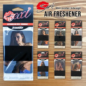 GAtbVi[ SEXI 10-15 S6 F   ݂艺 ZNV[  J[ANZT[ [~[ nMO A ԗpi J[pi [tOX   Ce